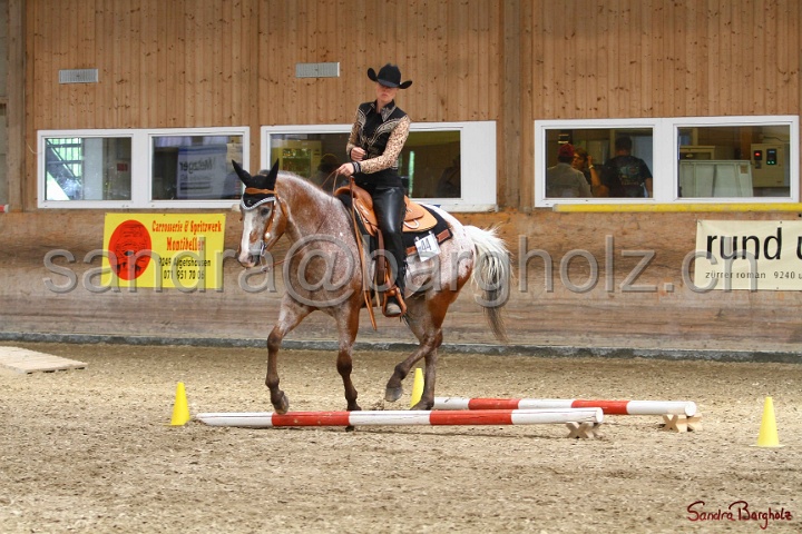 28-ApHC OT_200.jpg